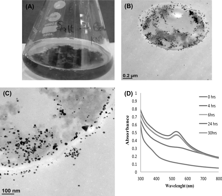 Fig. 2