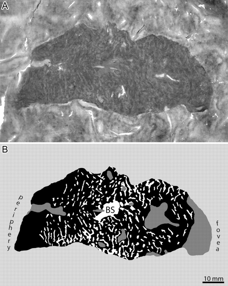 Figure 10.