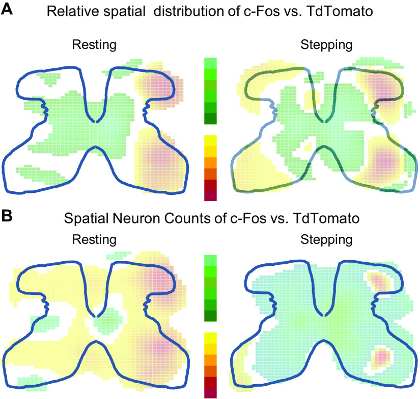 Fig. 4.