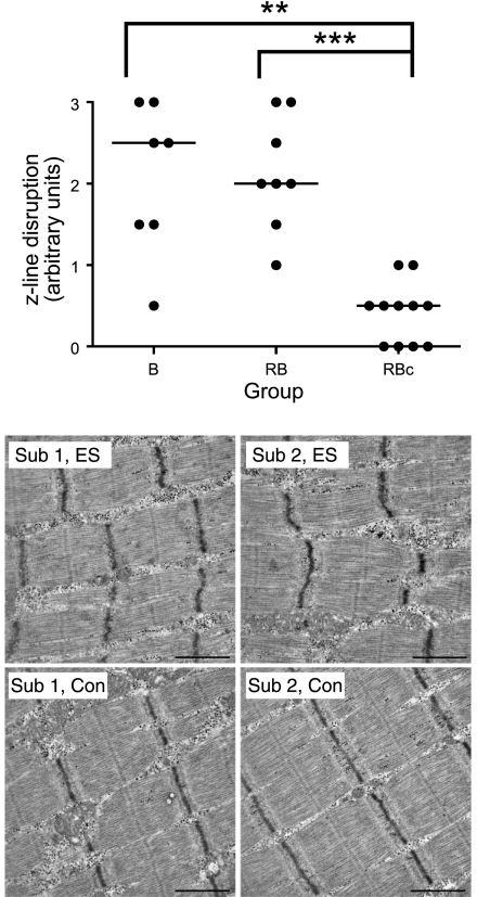 Figure 10.