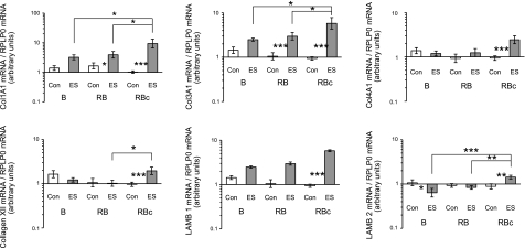 Figure 12.