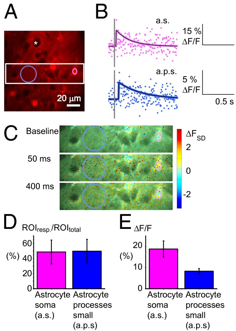 Fig. 6.