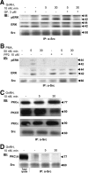 Fig. 9.
