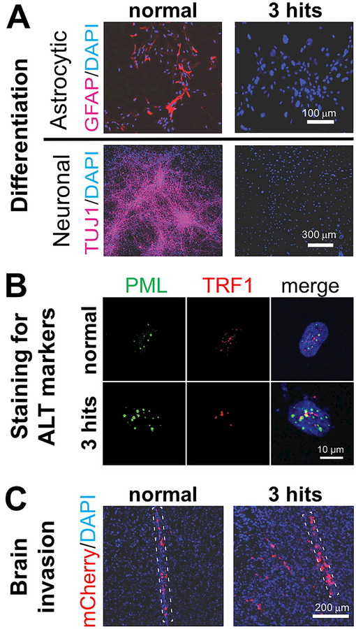 Figure 3.