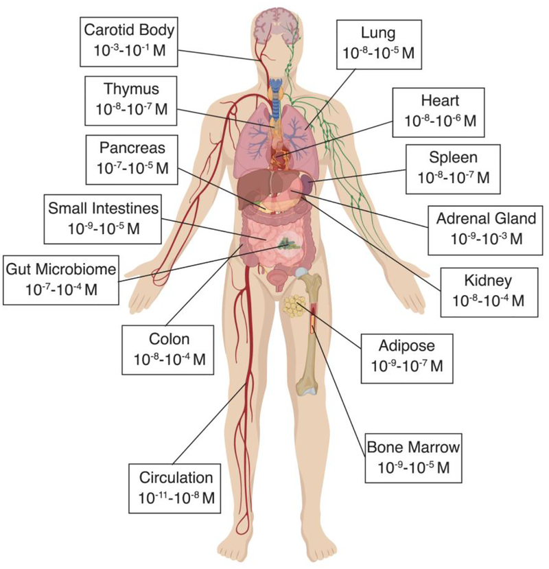 Figure 2 -