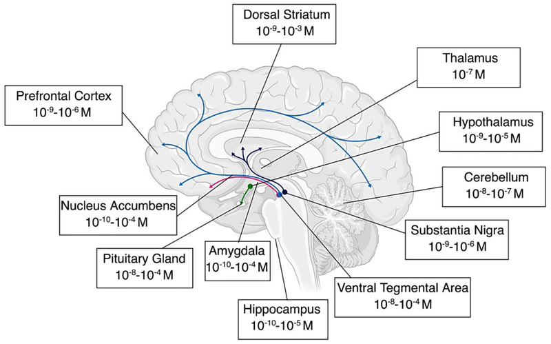 Figure 1 -