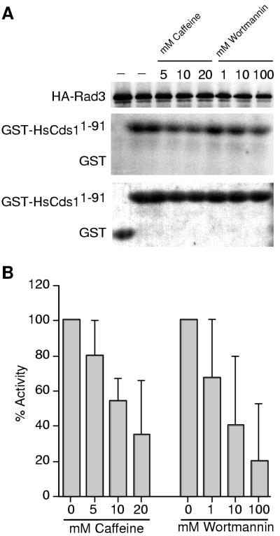 FIG. 5