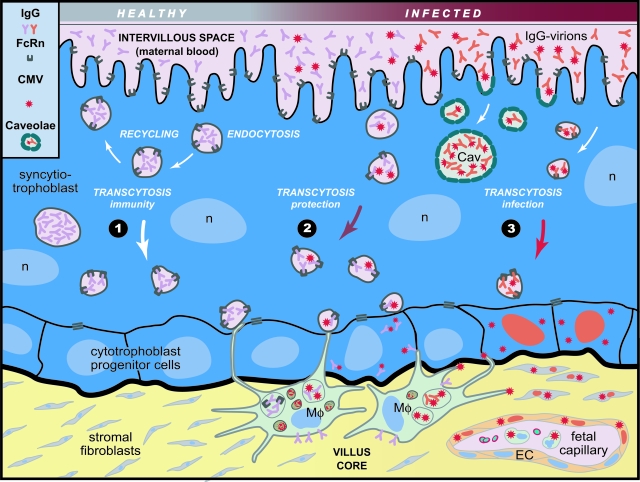 Figure 10