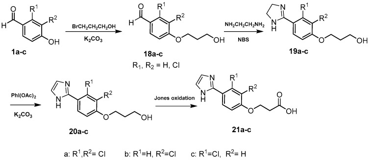 Scheme 5