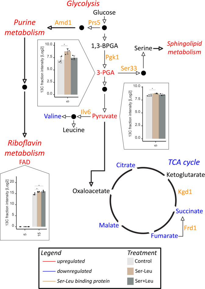 Fig. 7