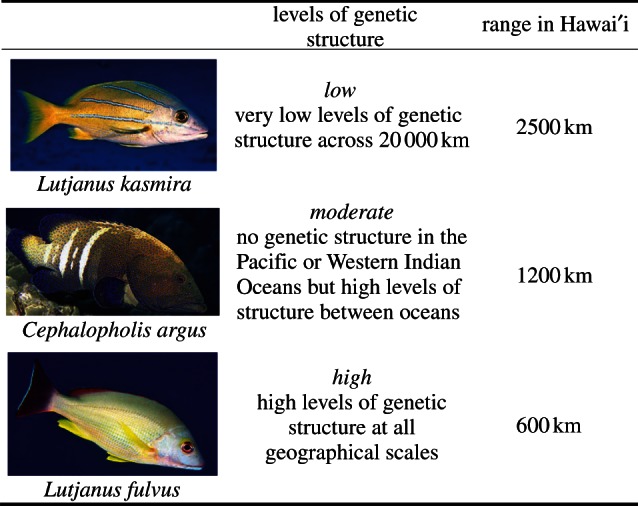 Figure 1.