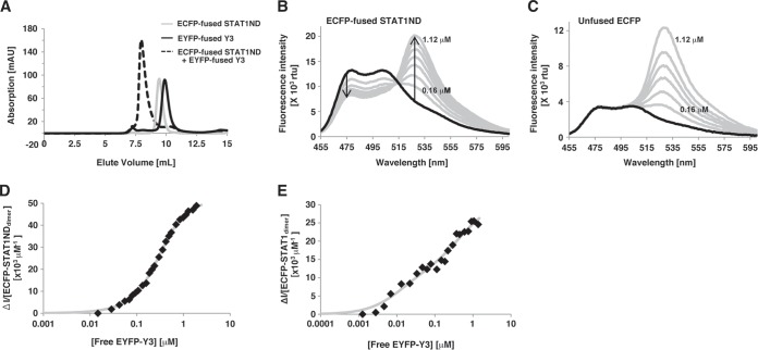 FIG 6