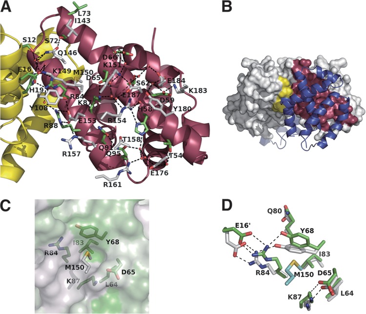 FIG 3