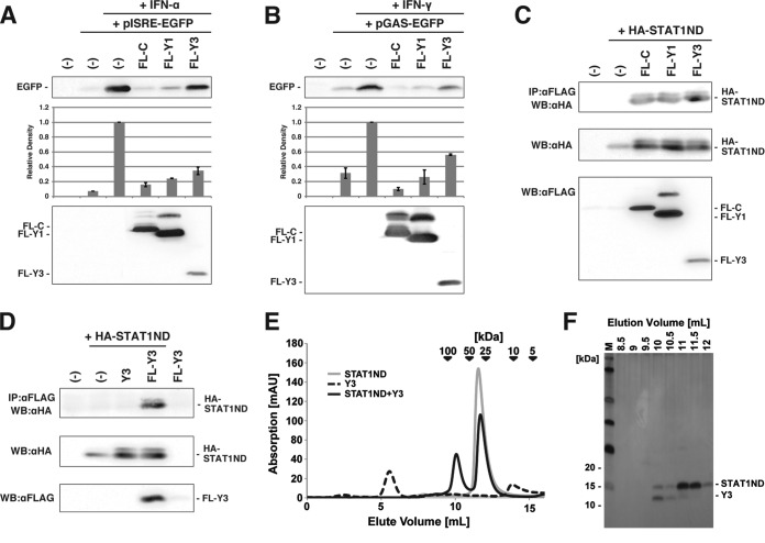 FIG 1