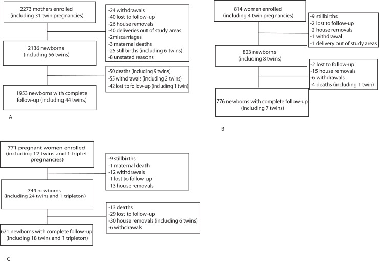 Fig 1