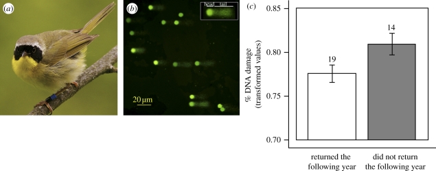 Figure 1.