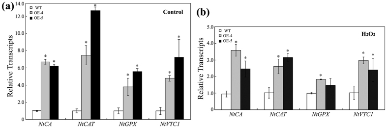 Figure 5