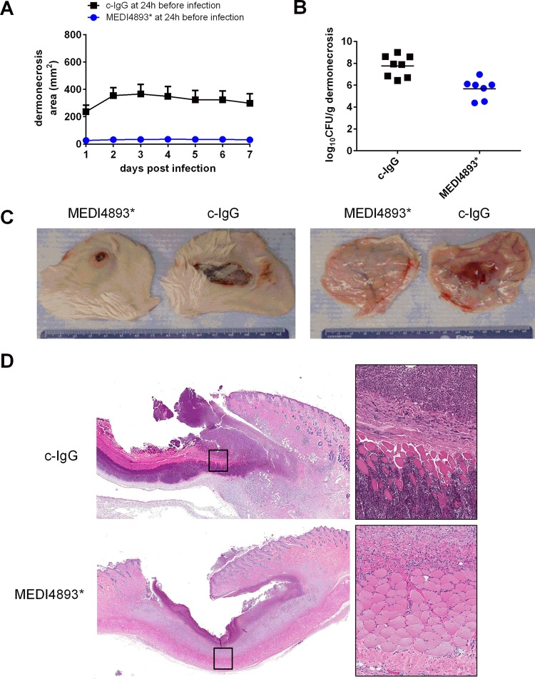 FIG 4