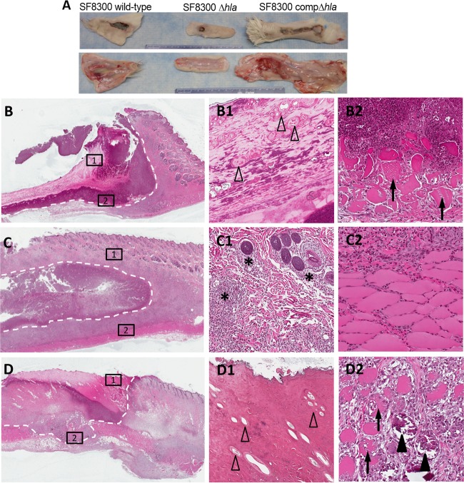 FIG 1