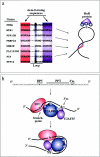 FIG. 2.