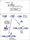 FIG. 6.