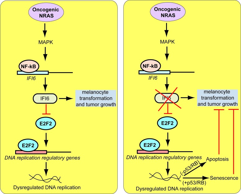 Figure 10.