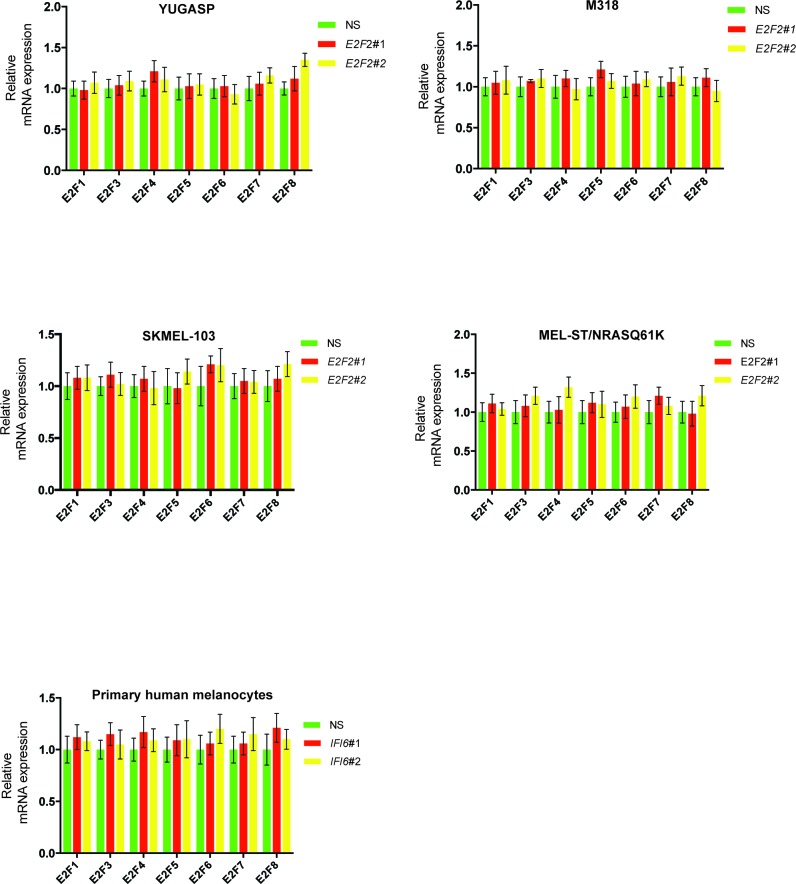 Figure 6—figure supplement 1.