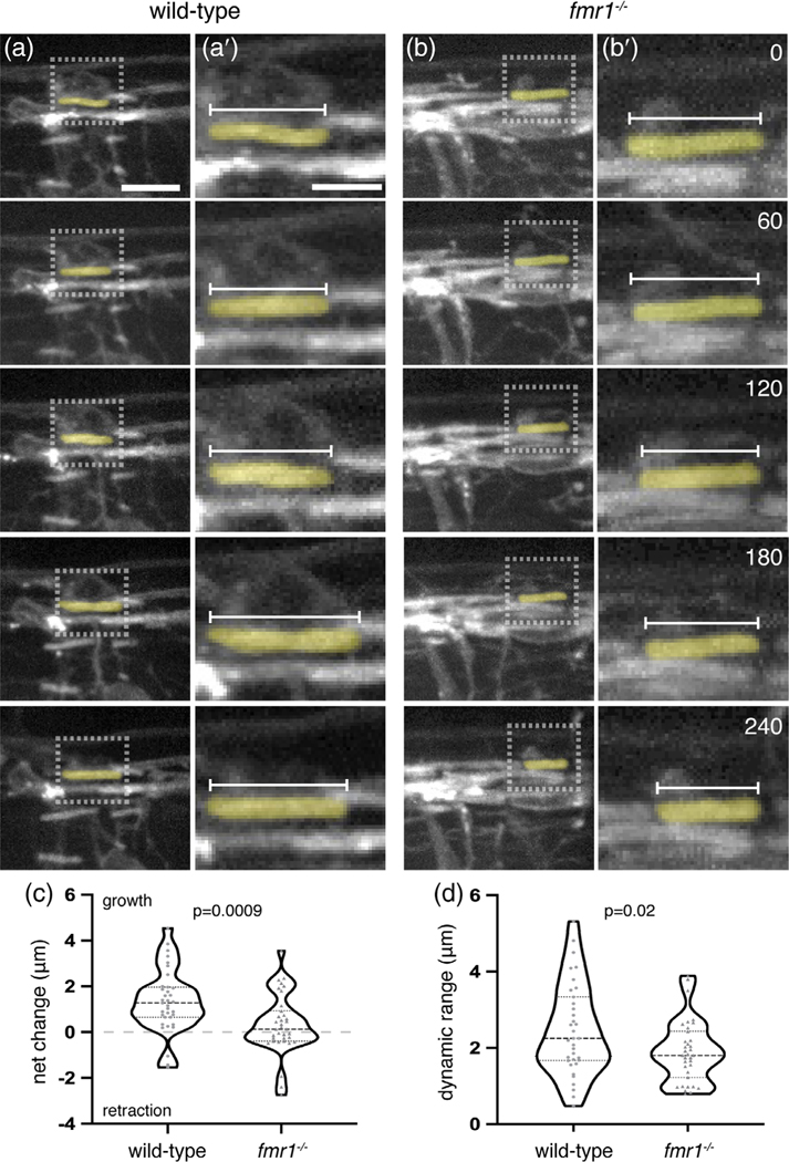 FIGURE 3