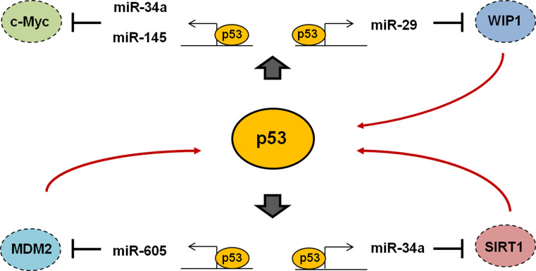 Fig. 3