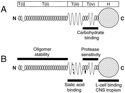 FIG. 8