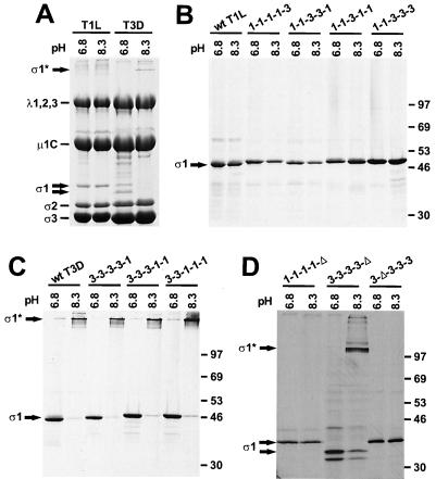 FIG. 5