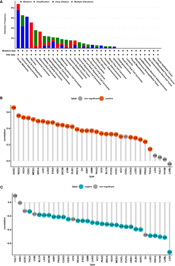 Figure 5