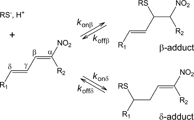 SCHEME 1.