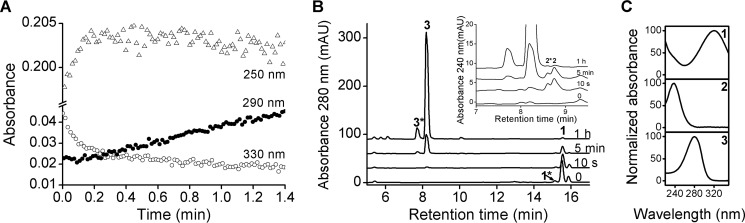 FIGURE 3.