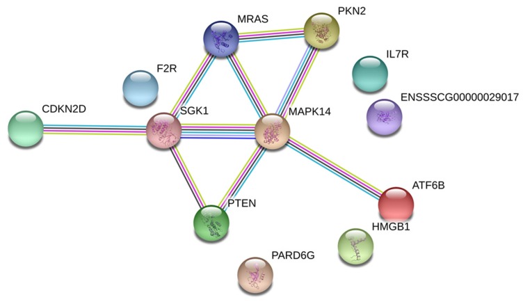 Figure 5