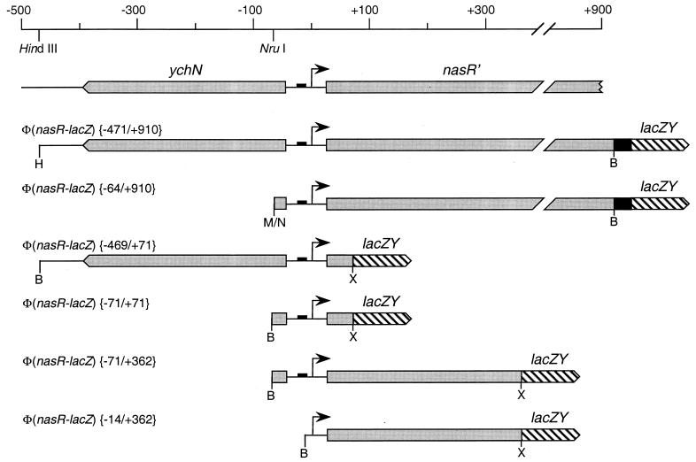 FIG. 1