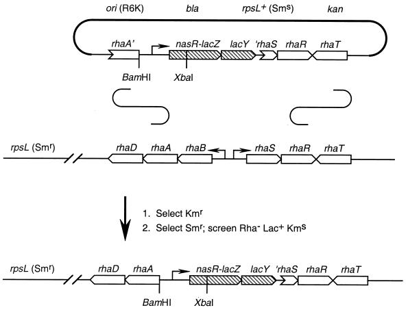 FIG. 3