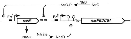 FIG. 5