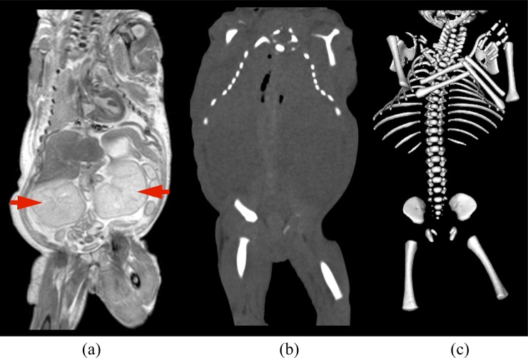 Figure 4.