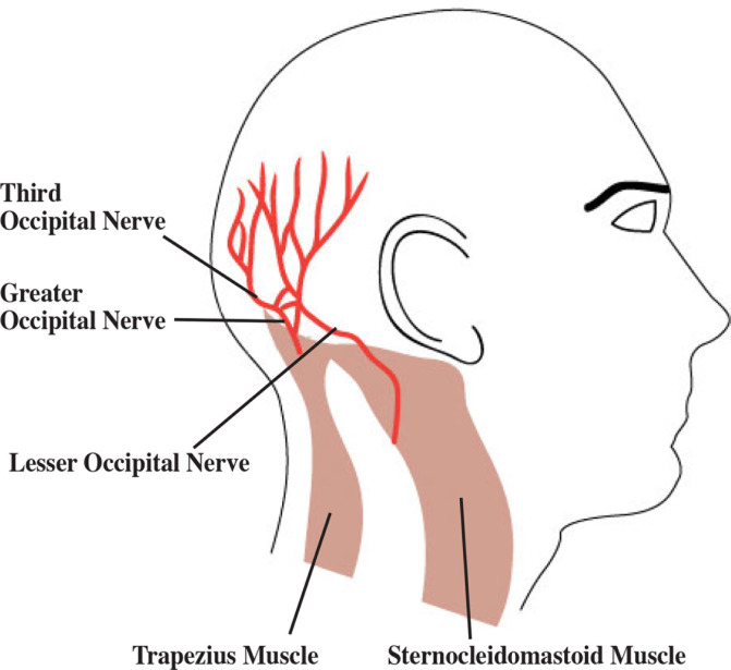 Figure 1: