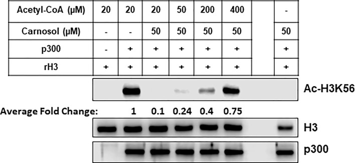 Figure 8