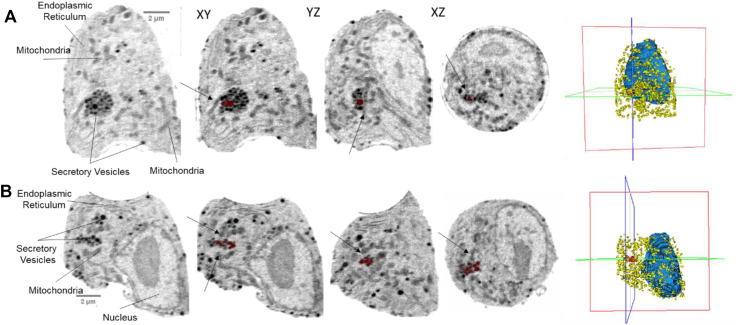 Figure 2