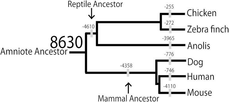 FIG. 5.—