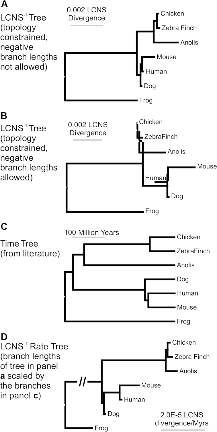 FIG. 4.—