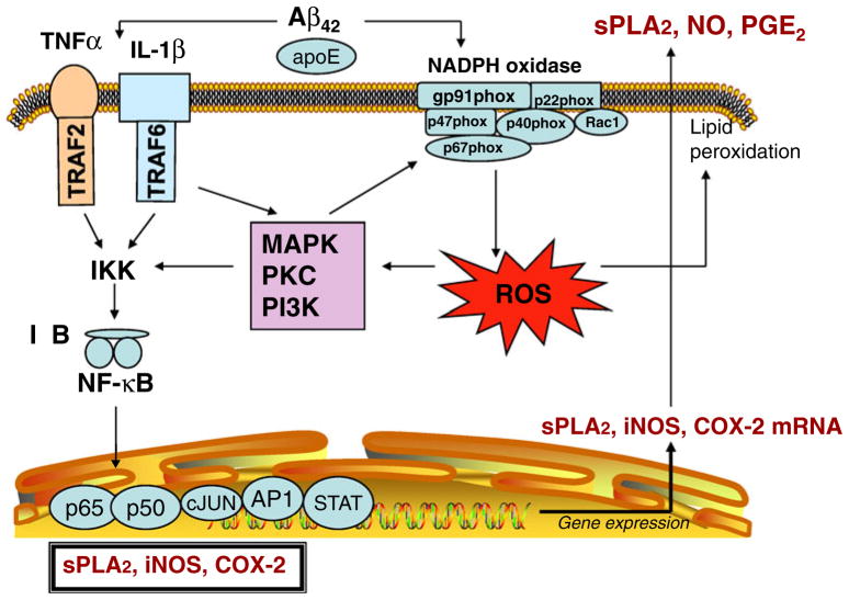 Fig. 2