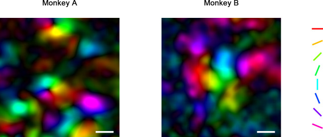 Figure 1—figure supplement 2.