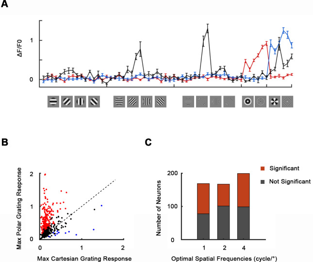 Figure 5—figure supplement 1.