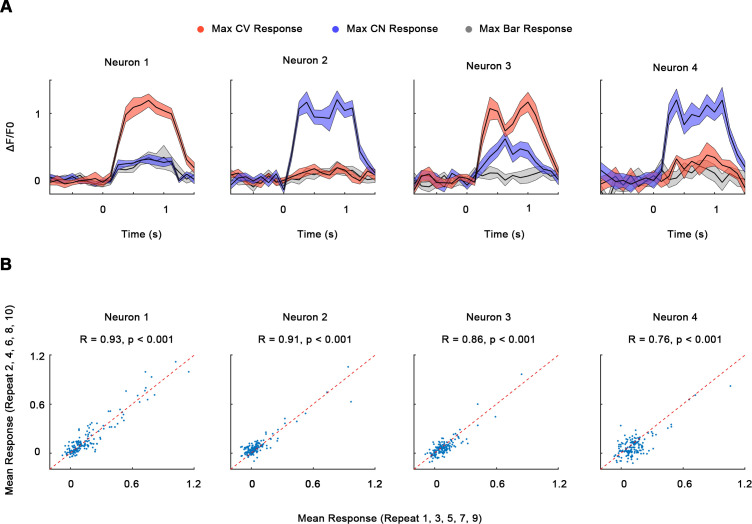 Figure 2—figure supplement 2.