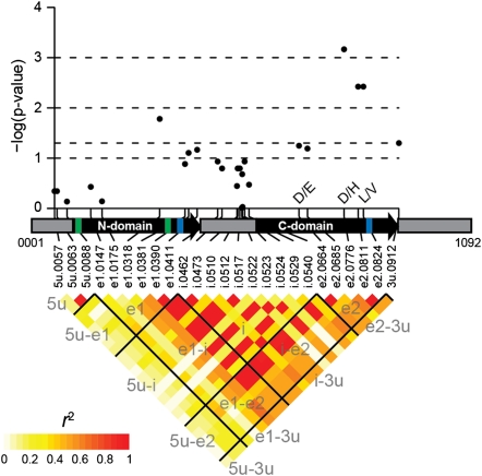 Fig. 2.