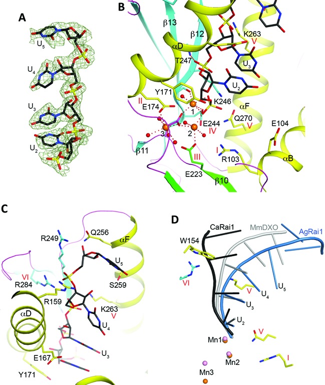 Figure 4.